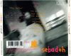 Sebadoh - Rocking The Forest / Sebadoh Vs. Helmet (CD)
