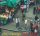 Stone Foundation - Street Rituals (DVD)