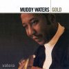 Muddy Waters - Gold (2CD)