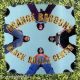 Orange Baboons - Black Bullet Center (CD)