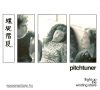 Pitchtuner - Flight Up The Winding Stars (CD)