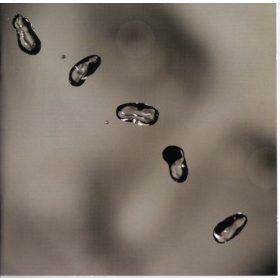 Peter Gabriel - Up (CD)