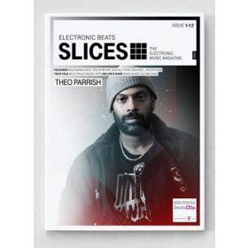   Electronic Beats - Slices, Theo parrish, Solar Bears, Bodi Bill (DVD)