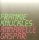 Frankie Knuckles - Annabelle Gaspar – Out There: 2001 Mardi Gras (2CD)