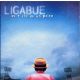 Ligabue - Su E Giù Da Un Palco (2CD)