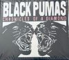 Black Pumas - Chronicles Of A Diamond (CD)