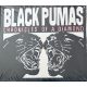 Black Pumas - Chronicles Of A Diamond (CD)