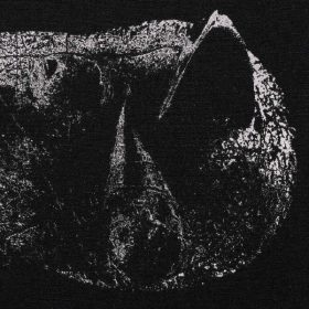 Demon Head - Viscera (CD) - lemezborító